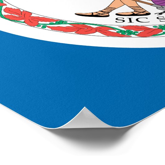 VIRGINIA POSTER (Hoek)