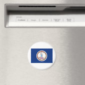 Virginia State Flag Magneet (Insitu (Vaatwasser))