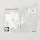 Virginia State Flower: Dogwood bloem Briefkaart (Achterkant)