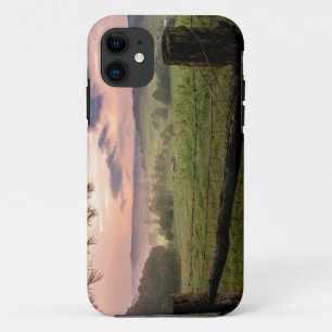 Virginia Sunset iPhone 11 Hoesje