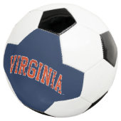 Virginia Wordmark en détresse (3/4)