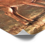 Virginian Deer, ook bekend als White Tailed Deer d Poster (Hoek)