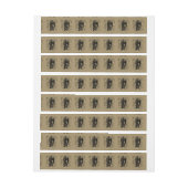 Virgo Constellation Hevelius 1690 aug 23 september (Vel)