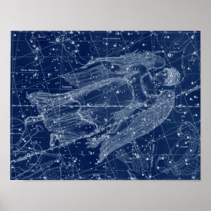 Virgo Dierenriem Teken  Illustratie Poster