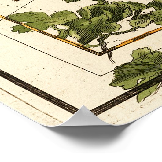 Virgo, Hydra, Crater, Bootes, Leo en Centaurus Poster (Hoek)