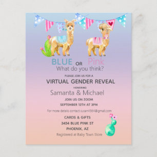 Virtual Pink Blue Llama Waterverf Gender onthullin Flyer