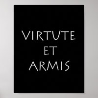 Virtueel en armis