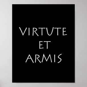 Virtueel en armis poster