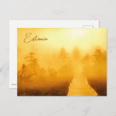 Viru Bog Golden Sunrise Briefkaart (Voorkant / Achterkant)