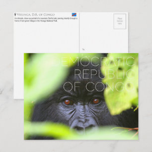 Virunga, Democratische Republiek Congo Reizen Briefkaart