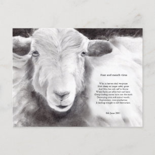 Virus de la fièvre aphteuse - carte postale de mou