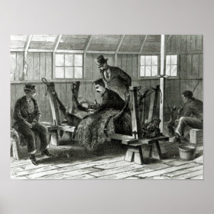 Virus uit het kalf halen poster