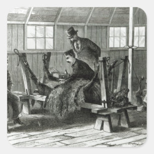 Virus uit het kalf halen vierkante sticker