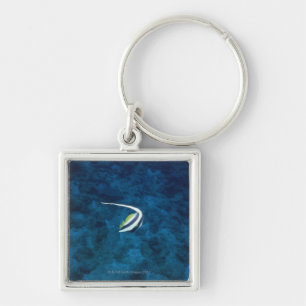 vis 2 sleutelhanger