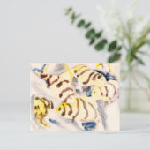 vis 3 | Charles Demuth | Briefkaart (Staand voorkant)