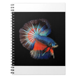 vis-5115102_1280 notitieboek