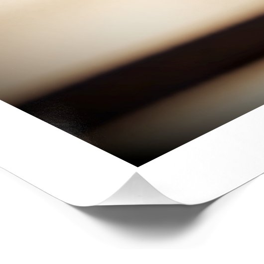 VIS A 3D Computer ART Digital Realism Poster (Coin)