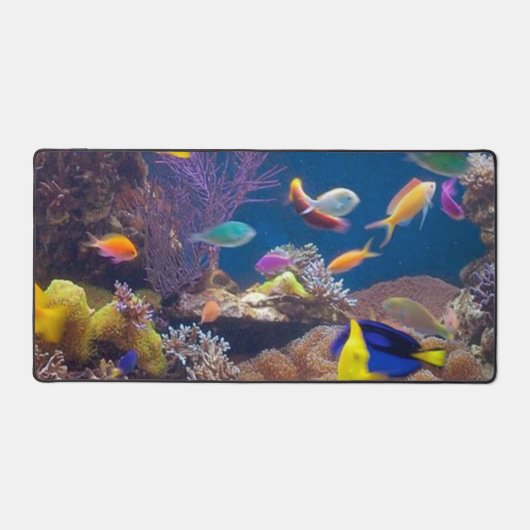 VIS BUREAUMAT (Voorkant)