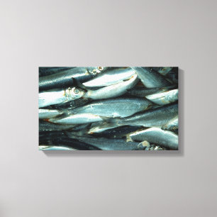 vis canvas afdruk