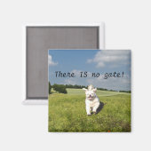 "Vis Comme..." Magnet - version bouddhiste (Matric (Recto/Verso)