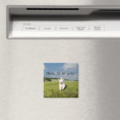 "Vis Comme..." Magnet - version bouddhiste (Matric (In Situ (Lave-vaisselle))