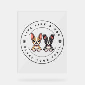 Vis comme un chien Blaze Your Trail (Recto)