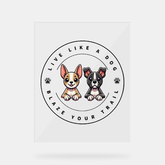 Vis comme un chien Blaze Your Trail (Recto)