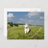 "Vis Comme..." Version de la carte postale bouddhi (Devant / Derrière)