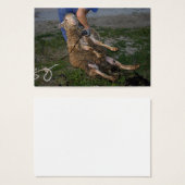 Vis du mouton (Devant & derrière)