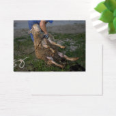 Vis du mouton (Bureau)