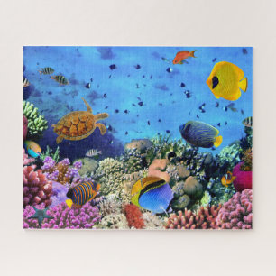 Vis en schildpad onder de zee Puzzel