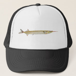 Vis - Garfish - Hyporhamphus intermedius Trucker Pet