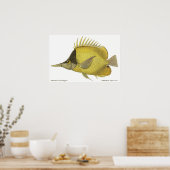 vis, gele tropische zalm Longirostris Poster (Keuken)