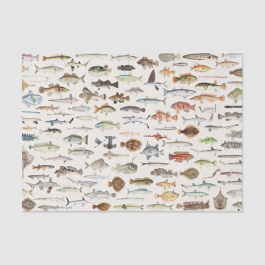 Vis Gevist verjaardagsfeestje Tissuepapier (Voorkant)