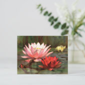 Vis in de Lily Pads - Briefkaart (Staand voorkant)