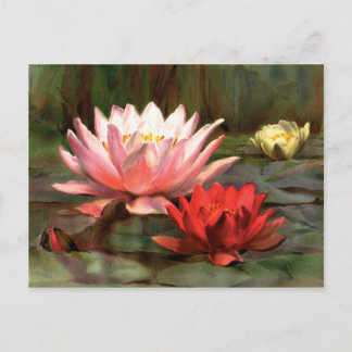 Vis in de Lily Pads - Briefkaart