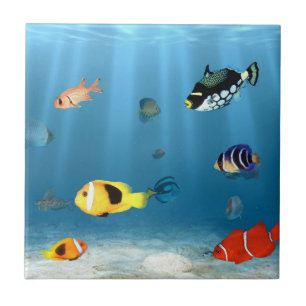 vis in de oceaan tegeltje