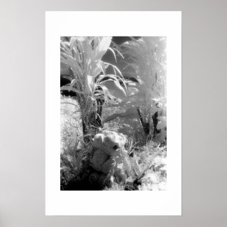 Vis in de tuin van Eden Poster