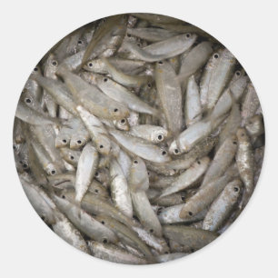 Vis in een Bucket Ronde Sticker