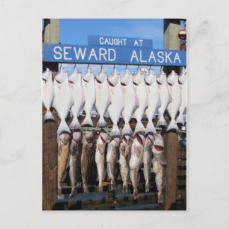 Vis in Seward, Alaska Briefkaart