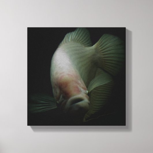 Vis in tankportret canvas afdruk (Voorkant)