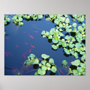 vis in water poster