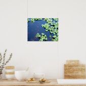 vis in water poster (Keuken)