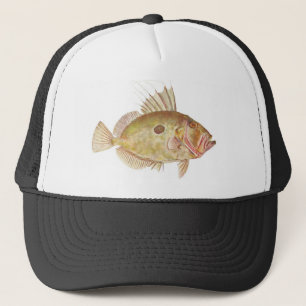 Vis - John Dory - Zeus faber Trucker Pet