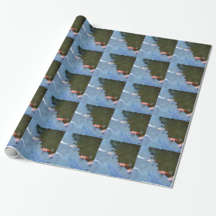 Vis, Koi Carps in vijver Cadeaupapier