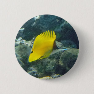 Vis met lange neus ronde button 5,7 cm