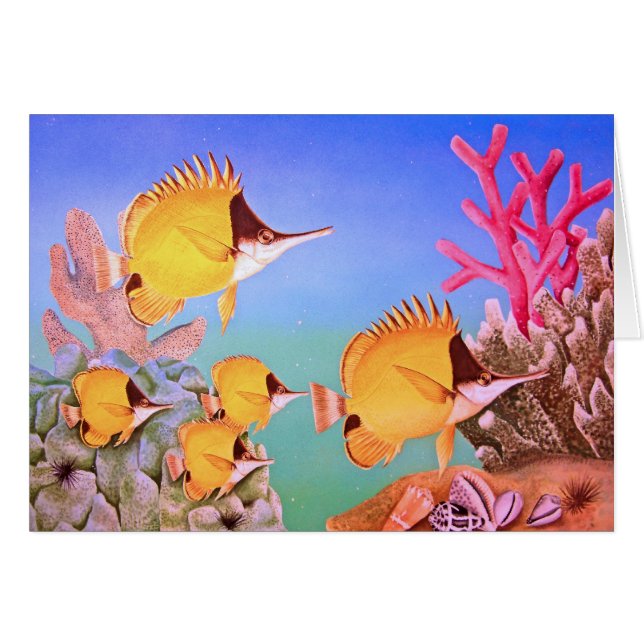 Vis met langneusvlinder (Voorkant Horizontaal)