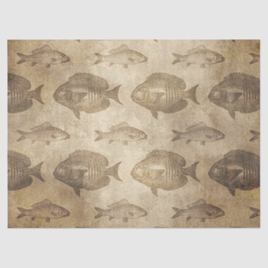  vis op bruine ontkoppeling tissuepapier (Voorkant)