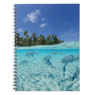 Vis op Zee Notitieboek