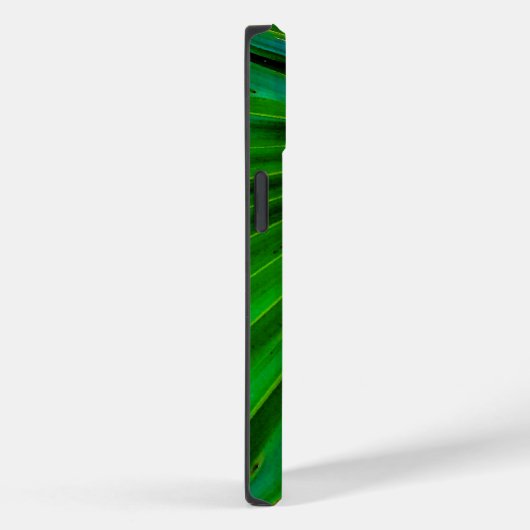 Vis Palmetto Fan iPhone / coque ipad (Verso / Droite)